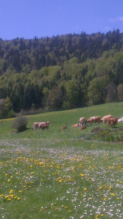 Apartmán La Petite Fleur Enges Exteriér fotografie